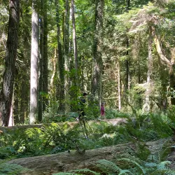 Priest Point Park - Olympia