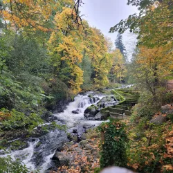 Tumwater Falls Park - Olympia