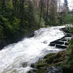 Tumwater Falls Park - Olympia