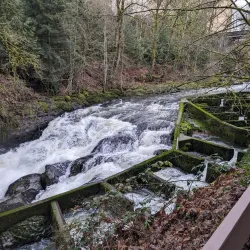 Tumwater Falls Park - Olympia