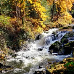 Tumwater Falls Park - Olympia