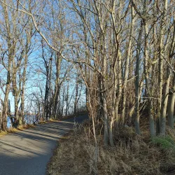 Columbia Park Trail - Pasco