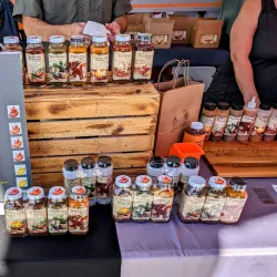 Pasco Farmers Market - Pasco