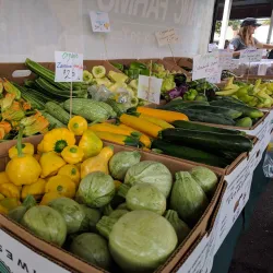 Pasco Farmers Market - Pasco