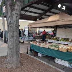 Pasco Farmers Market - Pasco
