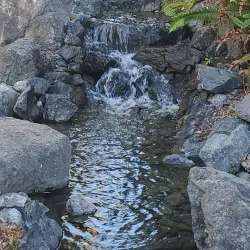 Northwest Native Expressions - Poulsbo