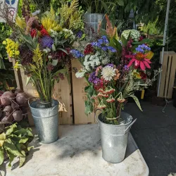 Poulsbo Farmers Market - Poulsbo