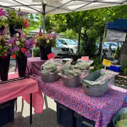 Poulsbo Farmers Market - Poulsbo