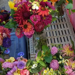 Poulsbo Farmers Market - Poulsbo