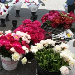 Poulsbo Farmers Market - Poulsbo