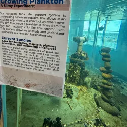 Poulsbo Marine Science Center - Poulsbo