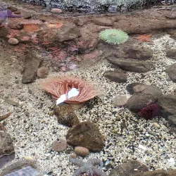 Poulsbo Marine Science Center - Poulsbo