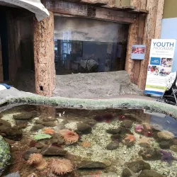 Poulsbo Marine Science Center - Poulsbo