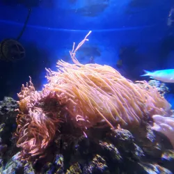 Poulsbo Marine Science Center - Poulsbo