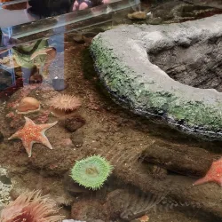 Poulsbo Marine Science Center - Poulsbo