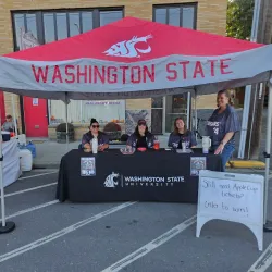 Downtown Pullman - Pullman