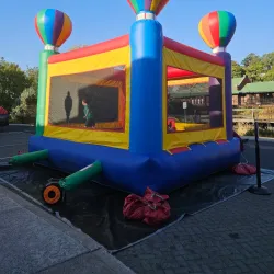 Downtown Pullman - Pullman