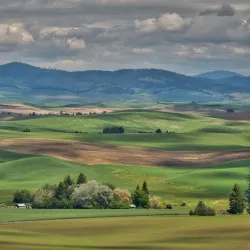 Kamiak Butte County Park - Pullman