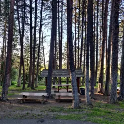 Kamiak Butte County Park - Pullman