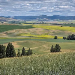 Kamiak Butte County Park - Pullman