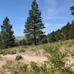 Kamiak Butte County Park - Pullman