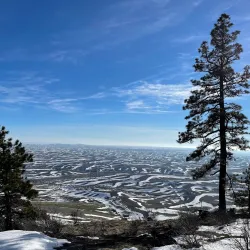 Kamiak Butte County Park - Pullman