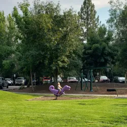 Reaney Park and Community Center - Pullman