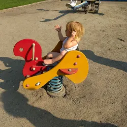 Reaney Park and Community Center - Pullman