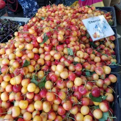 Puyallup Farmers' Market - Puyallup