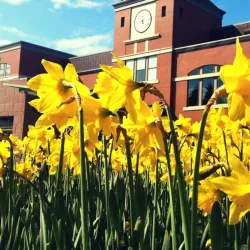 Puyallup Public Library - Puyallup