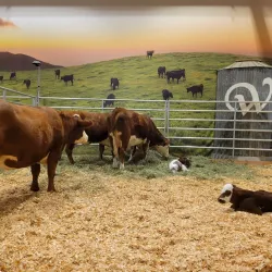 Washington State Fair - Puyallup