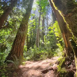 Wildwood Park - Puyallup