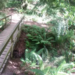 Wildwood Park - Puyallup