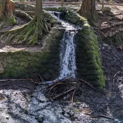 Wildwood Park - Puyallup