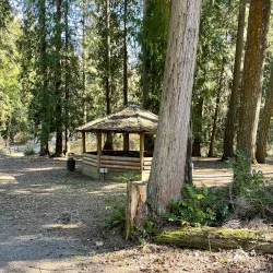Wildwood Park - Puyallup