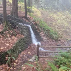 Wildwood Park - Puyallup