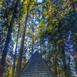 Wildwood Park - Puyallup