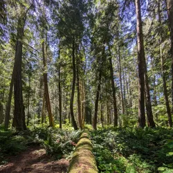 Wildwood Park - Puyallup