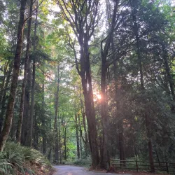 Wildwood Park - Puyallup