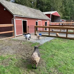 Farrel-McWhirter Farm Park - Redmond