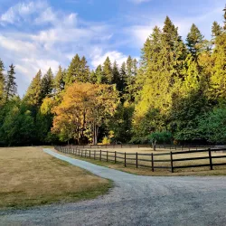 Farrel-McWhirter Farm Park - Redmond
