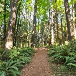 Farrel-McWhirter Farm Park - Redmond