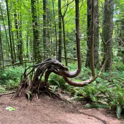 Farrel-McWhirter Farm Park - Redmond