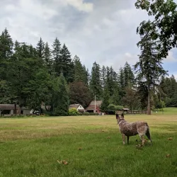 Farrel-McWhirter Farm Park - Redmond