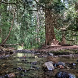 Farrel-McWhirter Farm Park - Redmond