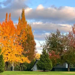 Grass Lawn Park - Redmond