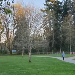 Idylwood Beach Park - Redmond