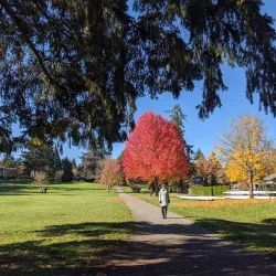 Idylwood Beach Park - Redmond