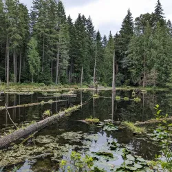 Redmond Watershed Preserve - Redmond