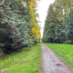 Redmond Watershed Preserve - Redmond